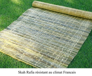 Skah-Soucca-en-kit.jpg Skah-Soucca-en-kit.jpg